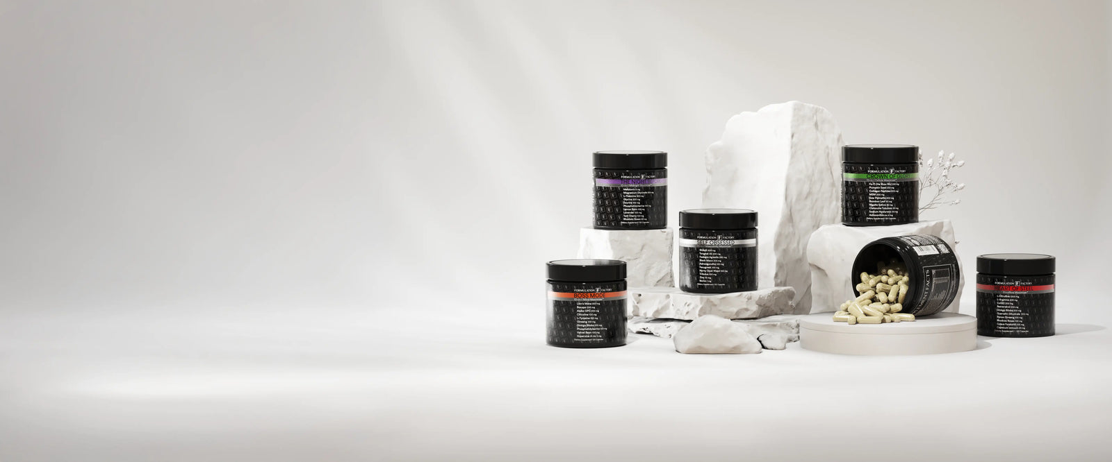 Formulation Factory products