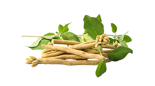 Ashwagandha 200mg