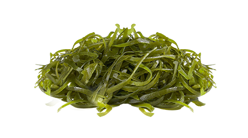 Fucoxanthin 100mg