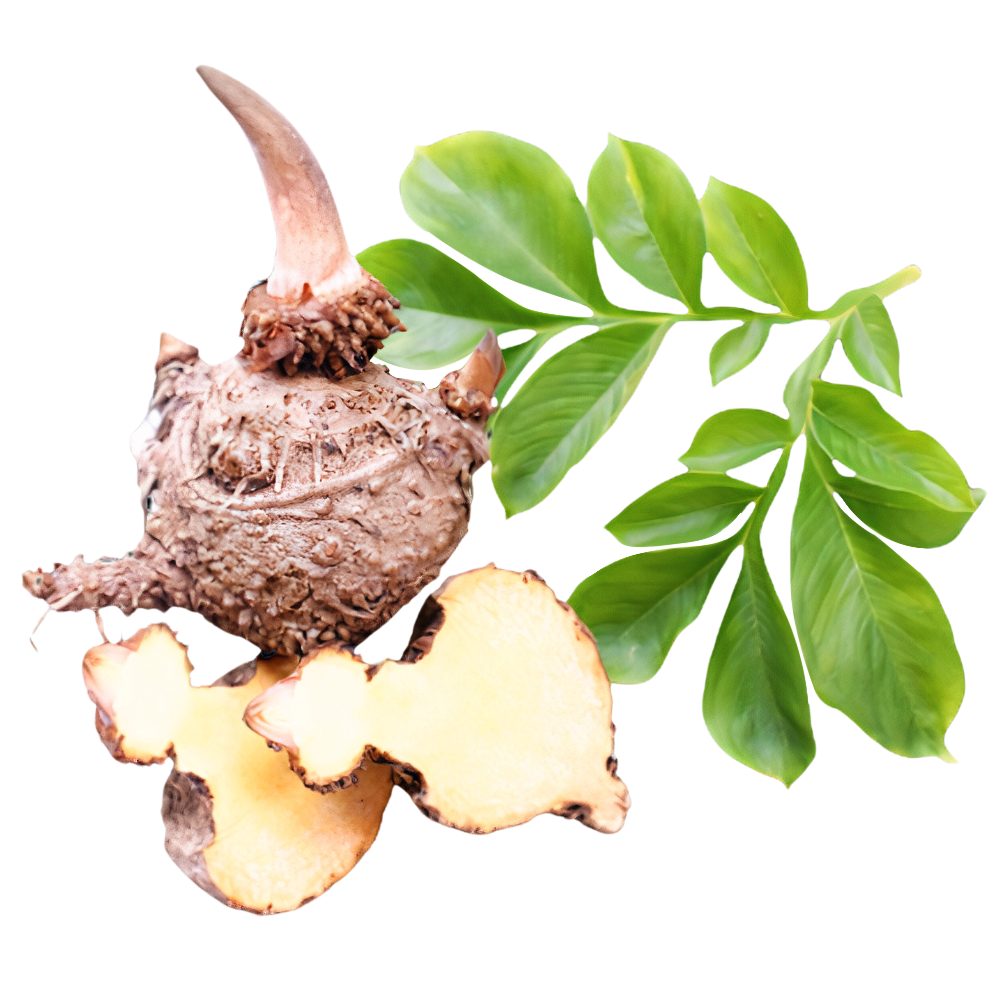 Glucomannan 300mg