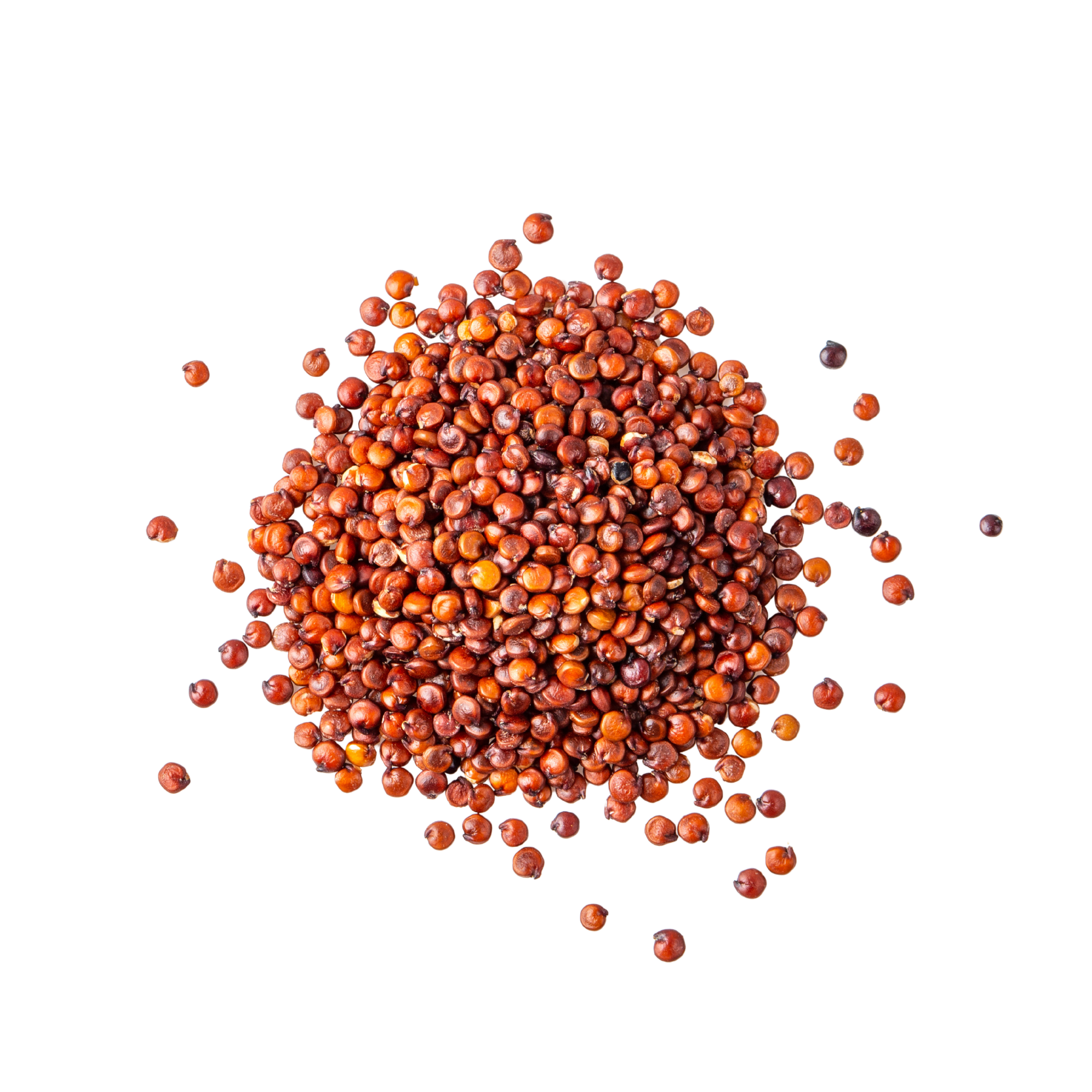 Grains of Paradise 100mg