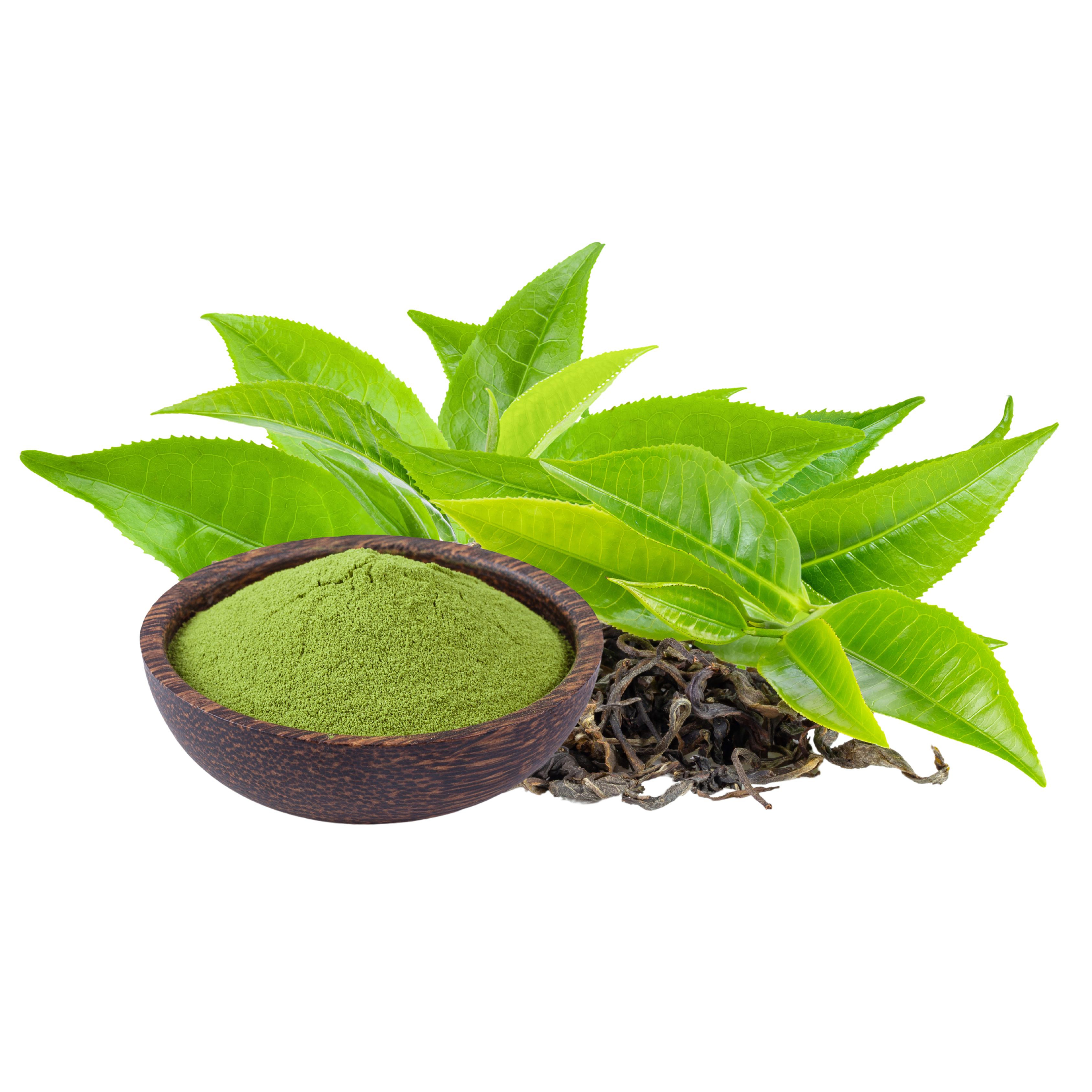 Green Tea Extract (EGCG) 200mg