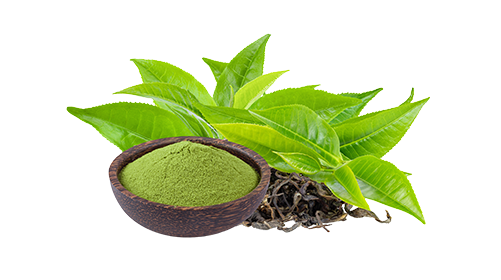 Green Tea Extract (EGCG) 200mg