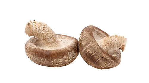 Shiitake 100mg
