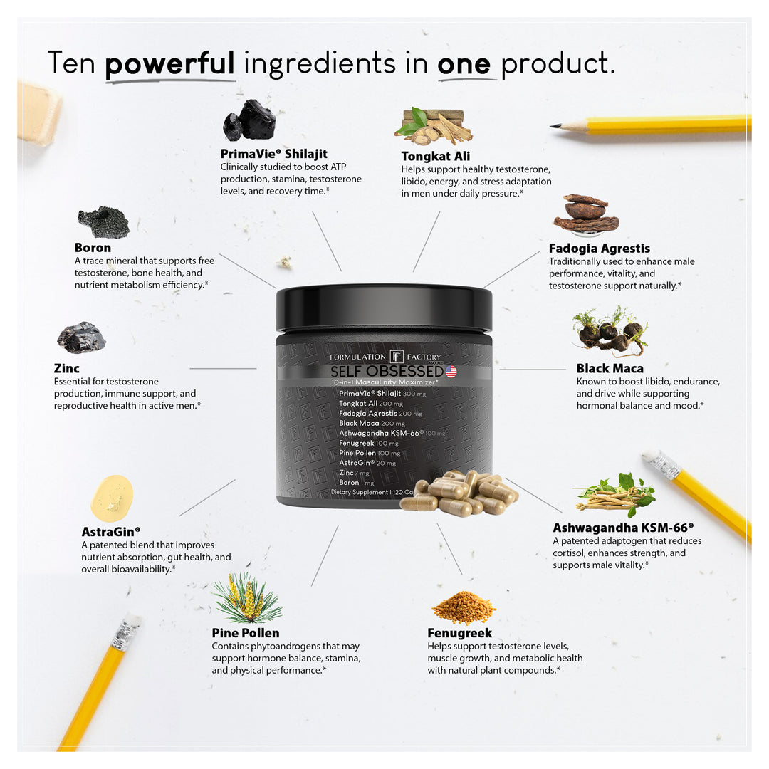 Self Obsessed MAXXED: 10-in-1 Masculinity Maximizer