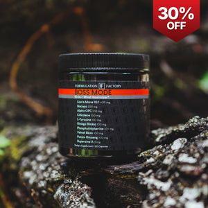 Boss Mode: 10-in-1 Mind Maximizer