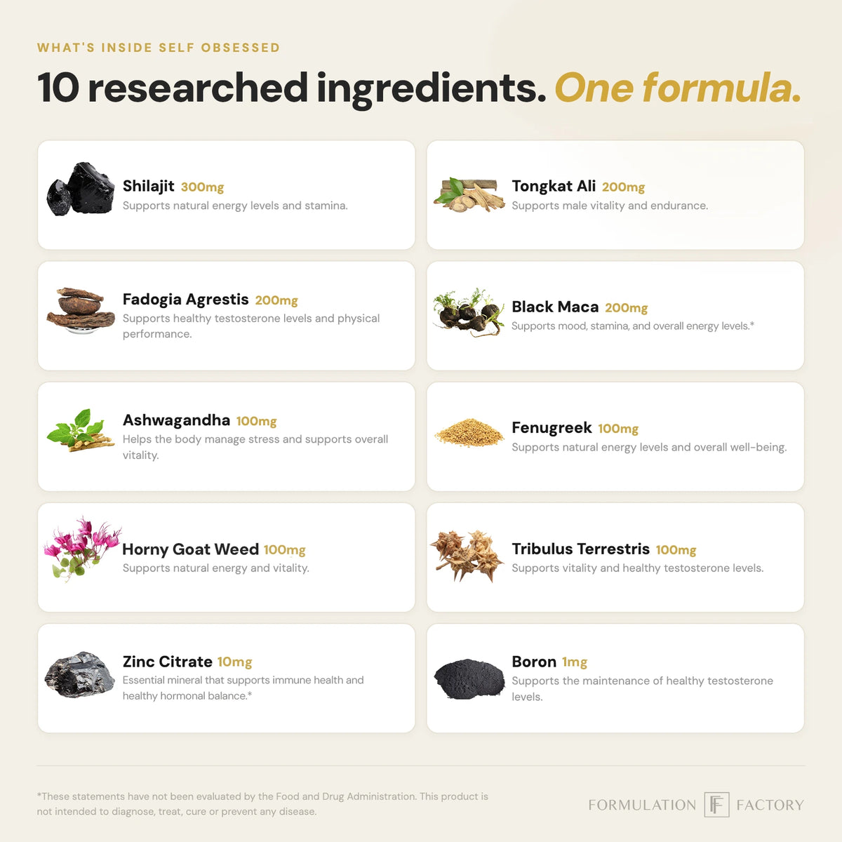 Graphic layout of the 10 researched ingredients in the Self Obsessed formula, including Shilajit, Tongkat Ali, Fadogia Agrestis, Black Maca, Ashwagandha, Fenugreek, Horny Goat Weed, Tribulus Terrestris, Zinc Citrate, and Boron with dosages.