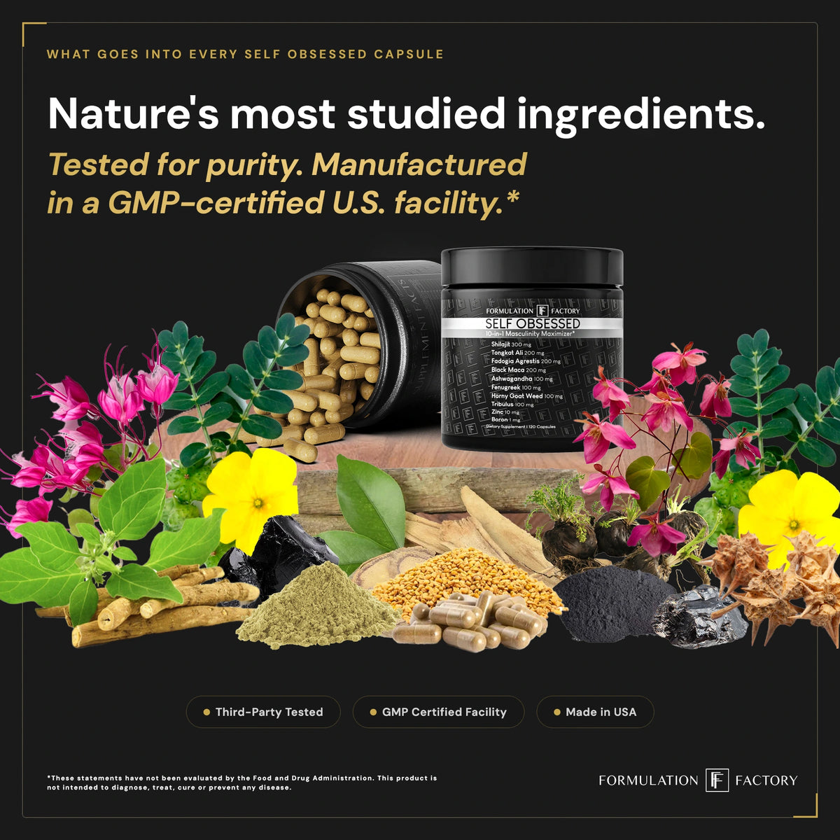 Two supplement bottles of Self Obsessed displayed on a wooden surface surrounded by the raw natural herbs, roots, and minerals found in the formula, highlighting third-party testing and USA manufacturing.