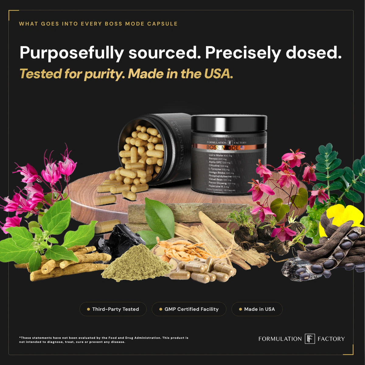 Two supplement jars of Boss Mode displayed on a wooden stand surrounded by raw cognitive ingredients like fresh Lion's mane mushrooms, whole panax ginseng roots, velvet beans, and green ginkgo biloba leaves.