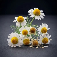 Apigenin (Chamomile)