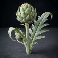 Artichoke Leaf Extract