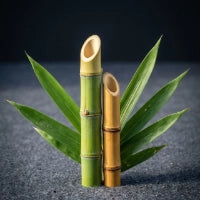 Bamboo Leaf