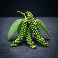 Black Pepper Extract