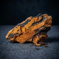 Chaga