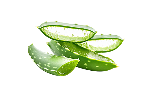Aloe Vera Extract 100mg