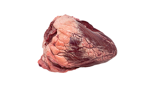 Grass-Fed Beef Heart 200mg