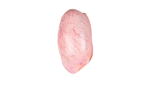 Grass-Fed Beef Testicle 100mg