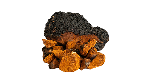 Chaga 200mg
