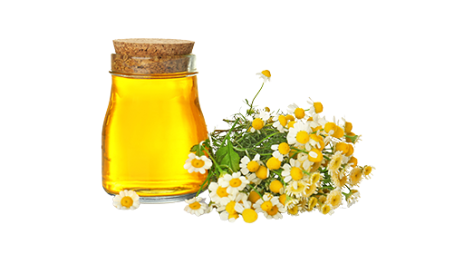 Chamomile Extract 50mg