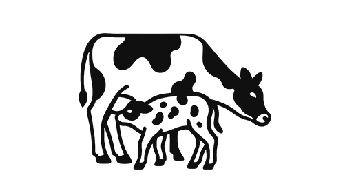 Colostrum 300mg