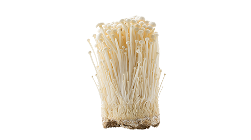 Enoki 50mg