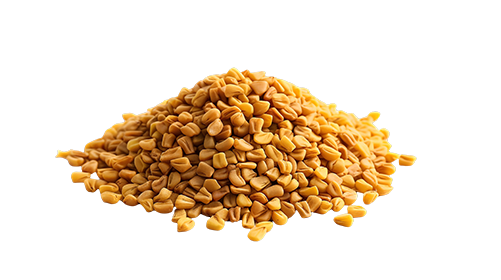 Fenugreek 100mg