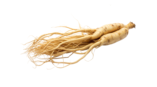 Ginseng 100mg