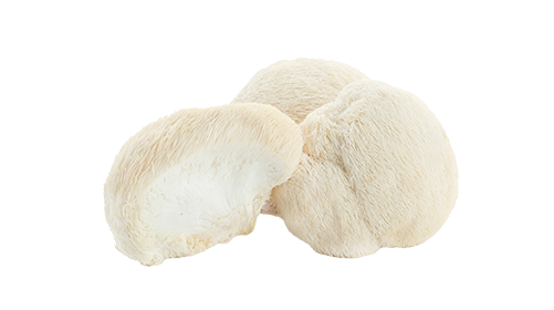 Lion’s Mane 300mg