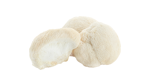 Lion’s Mane 400mg