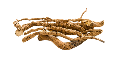 Marshmallow Root 100mg
