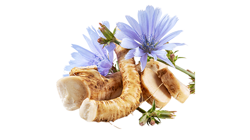 Prebiotic Blend 200mg