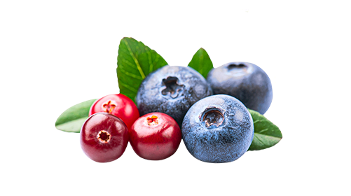 Quercetin 200mg