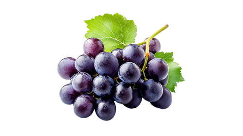 Resveratrol 200mg