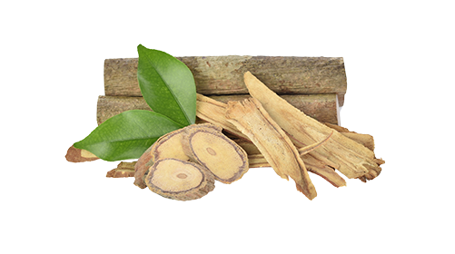 Tongkat Ali  200mg