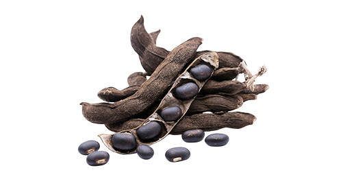 Velvet Bean 100mg