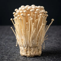 Enoki