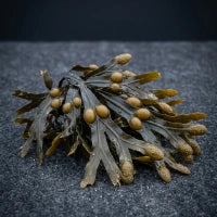 Fucoxanthin