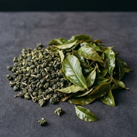 GABA