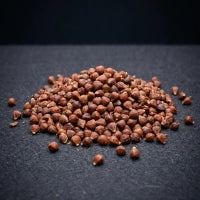 Grains of Paradise