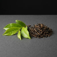 L-Theanine