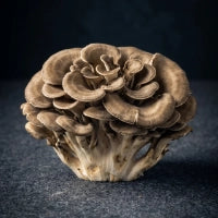Maitake