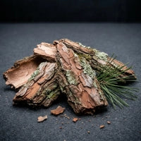Pine Bark Extract