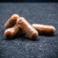 Probiotic Blend