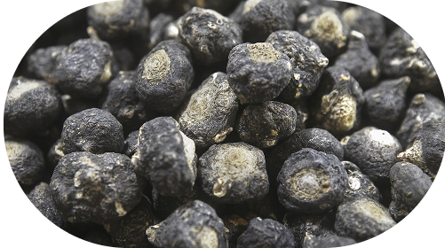 Black Maca (200 mg)