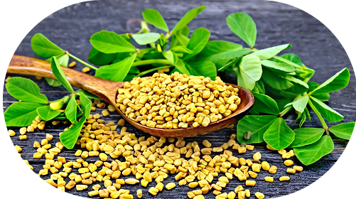 Fenugreek (200 mg)