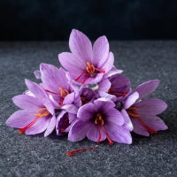Saffron Stigma Extract