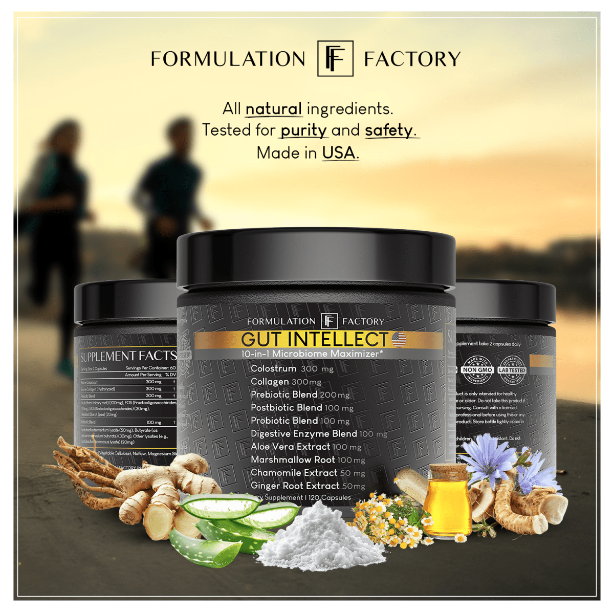 Gut Intellect - Formulation Factory