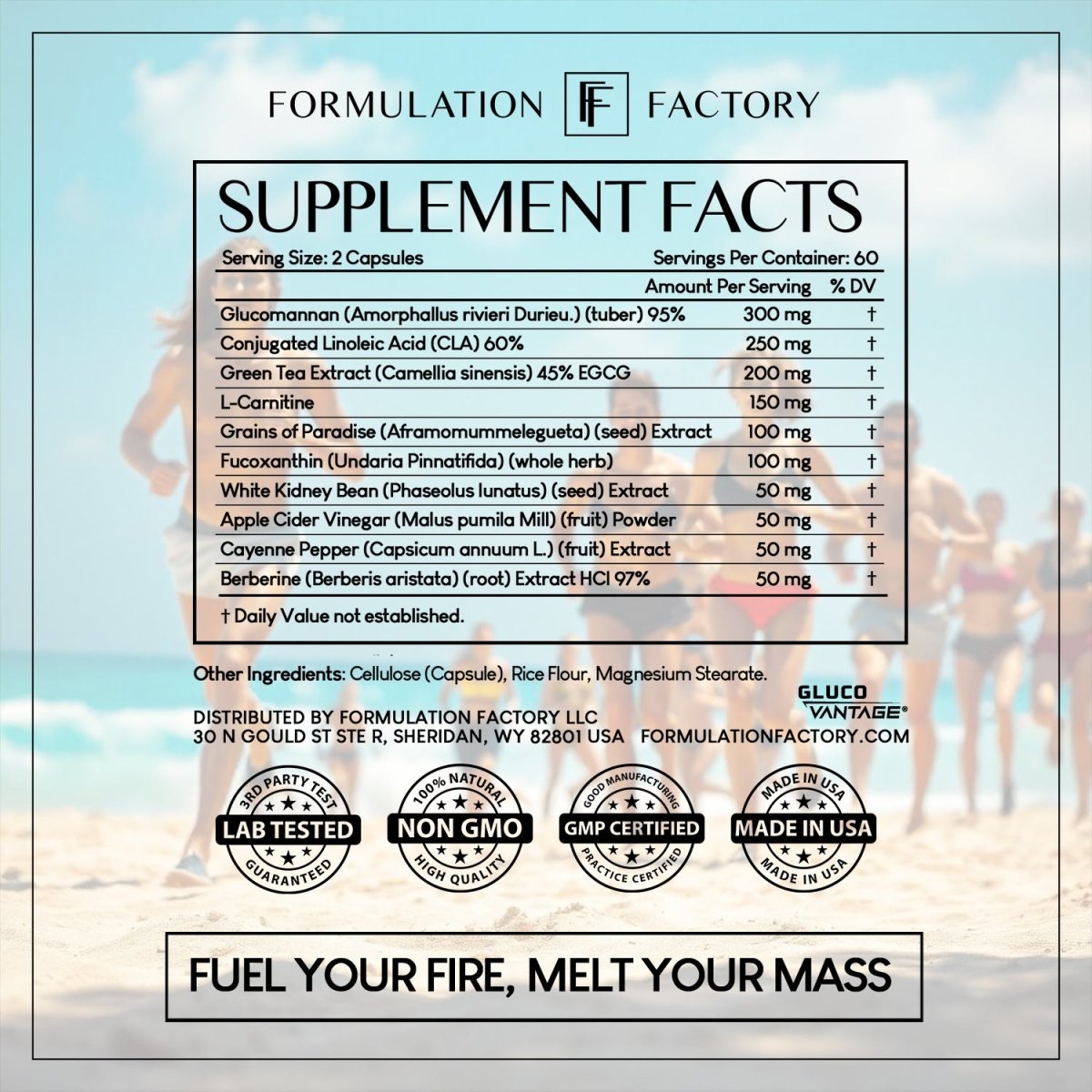 Melt Mode - Formulation Factory