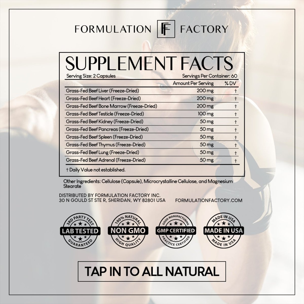 Primal Power - Formulation Factory