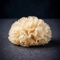 Tremella